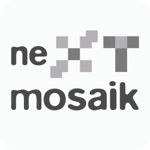 Logo: nextmosaik